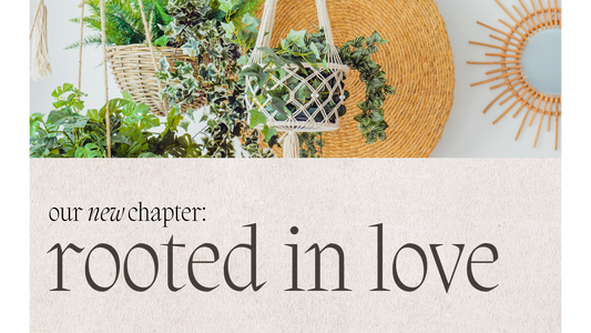 Introducing our New Chapter: Rooted in Love